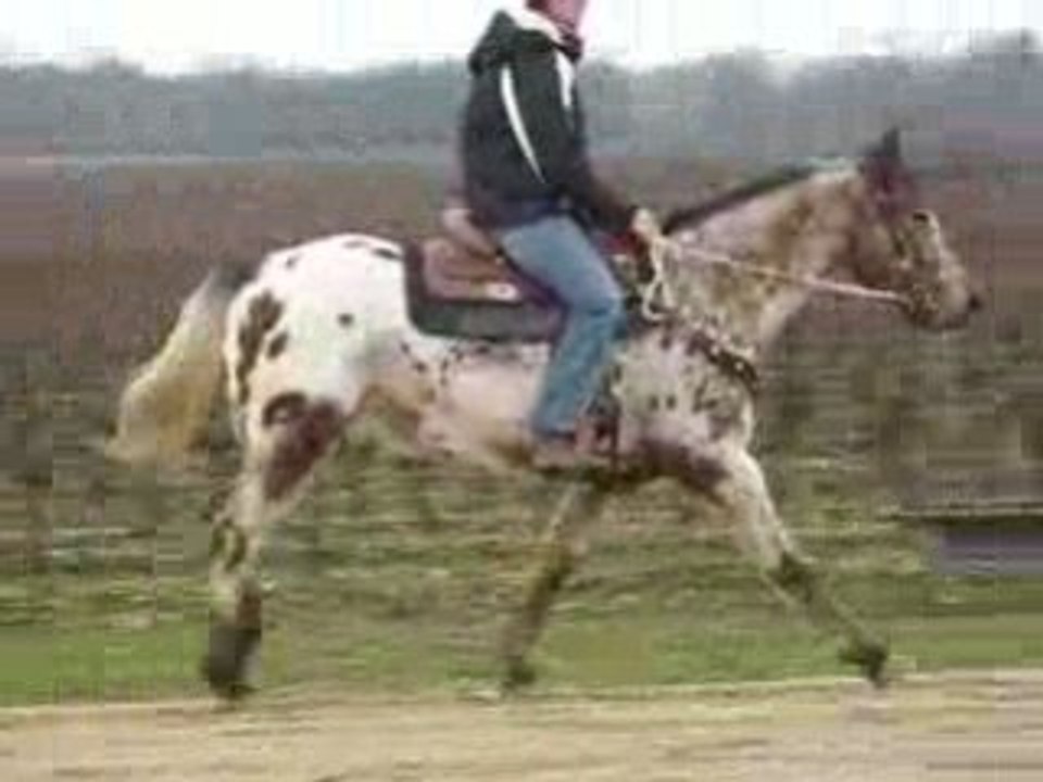 Monkop au galop
