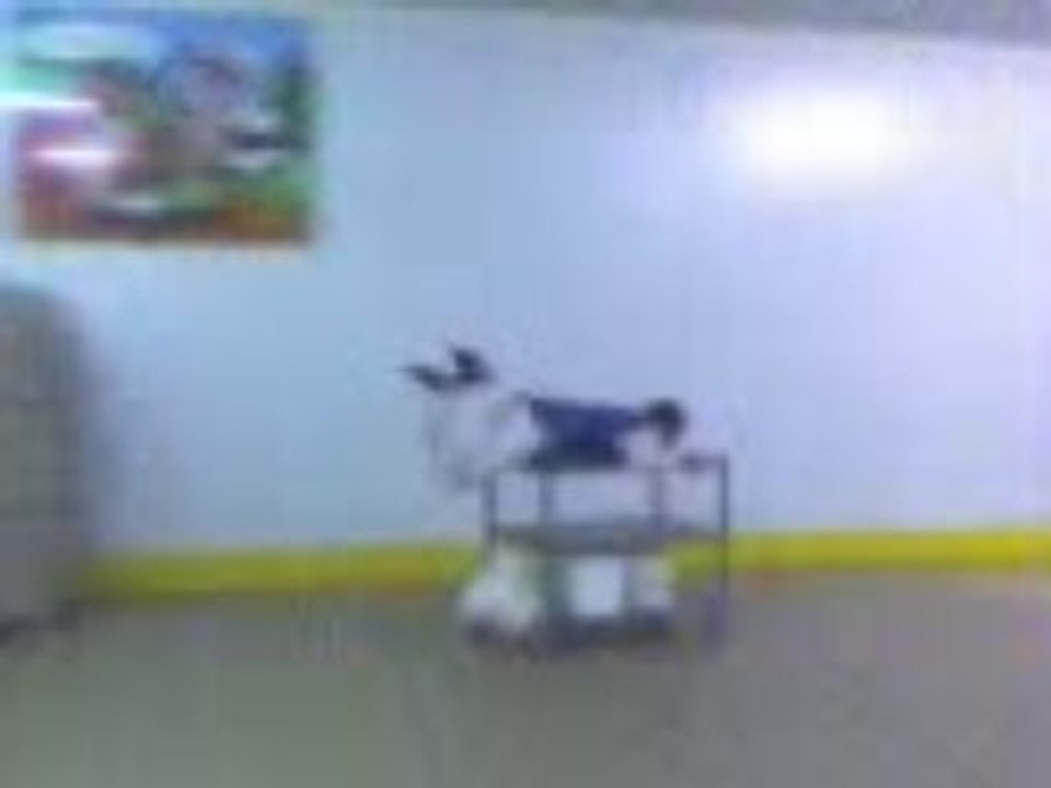 Chariot