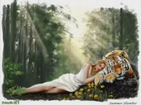 Мишо Шамара, Angel И Troy - Моите Лъжи