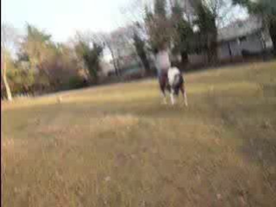 Maé & Malice