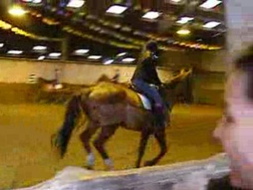 Cours dimanche 018