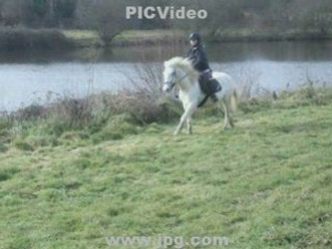 Plein galop =)