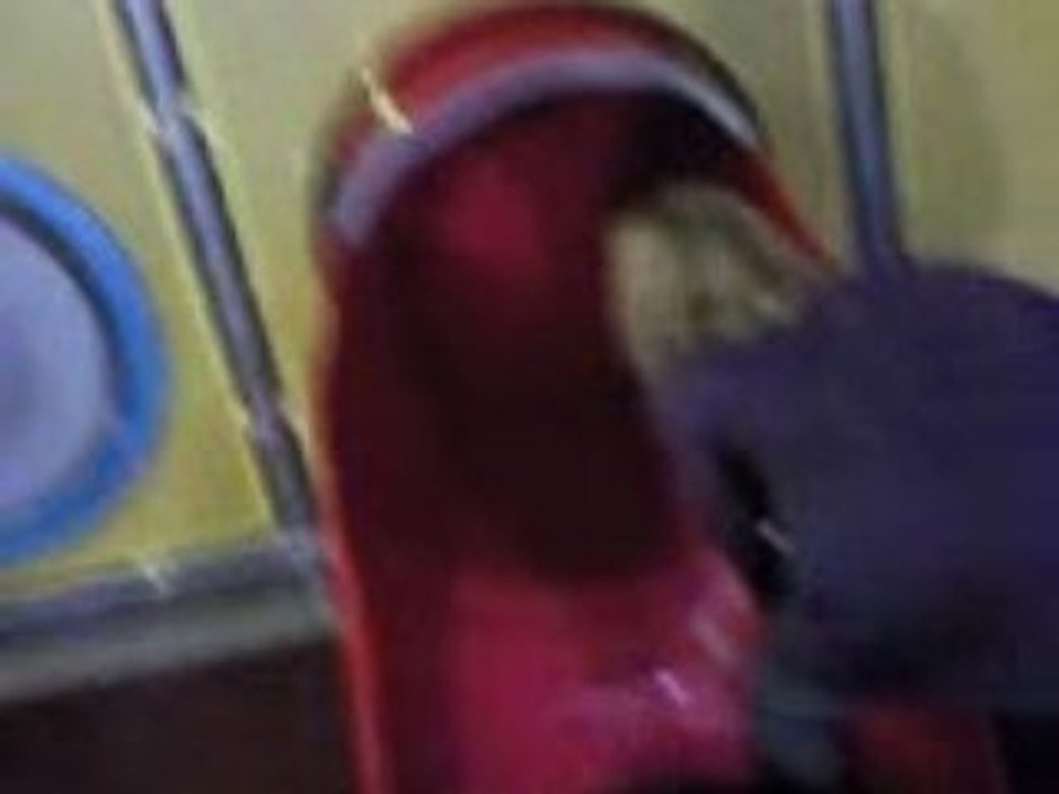 Vidéo0010