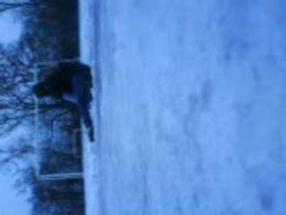 MOV01402
