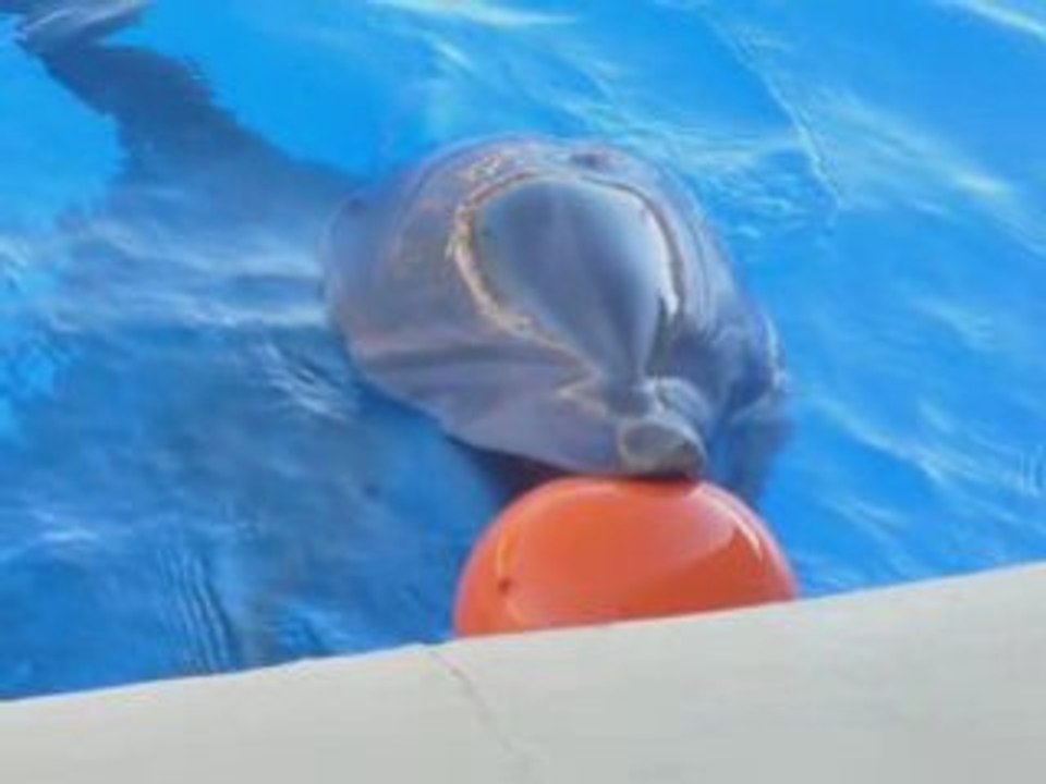 marineland