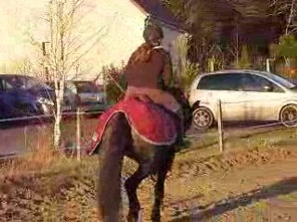 qadfan janvier 2009 2