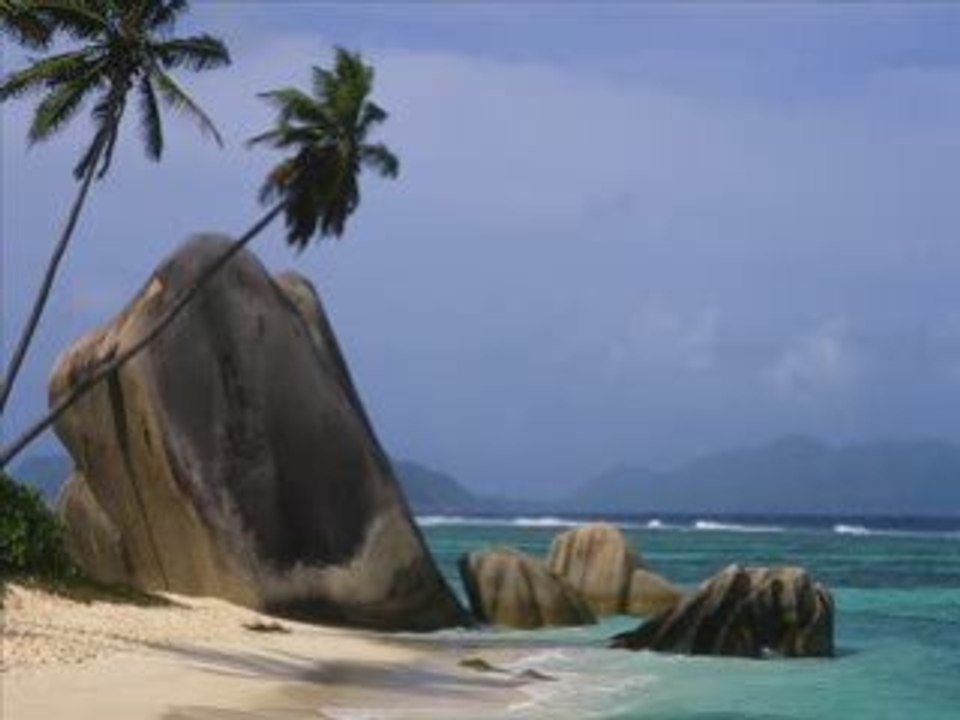 musique du monde   -T'AURAIS PAS DÛ MOURIR SI JEUNE  hommage