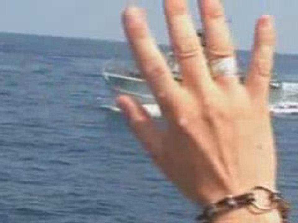 Des israéliens tirent sur des pêcheurs à Gaza...