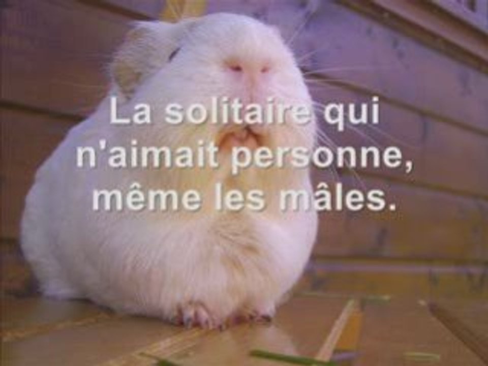 Hommage à Hermine