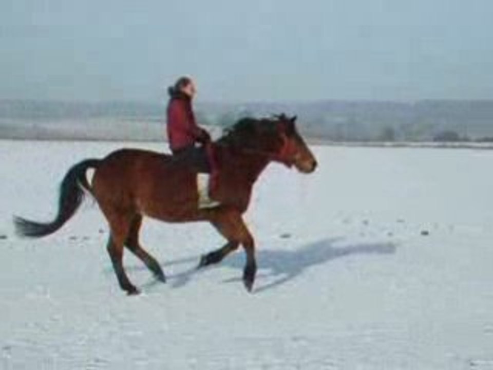 Galop dans la neige