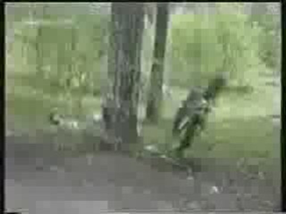 80 kx