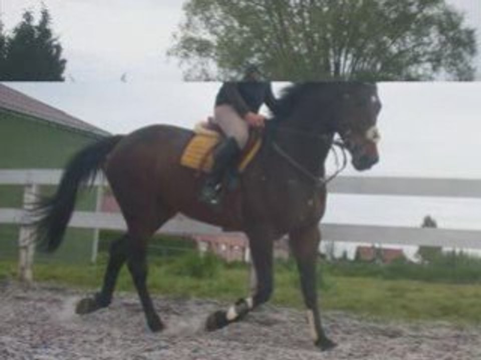 Onnyl des Servois et moi