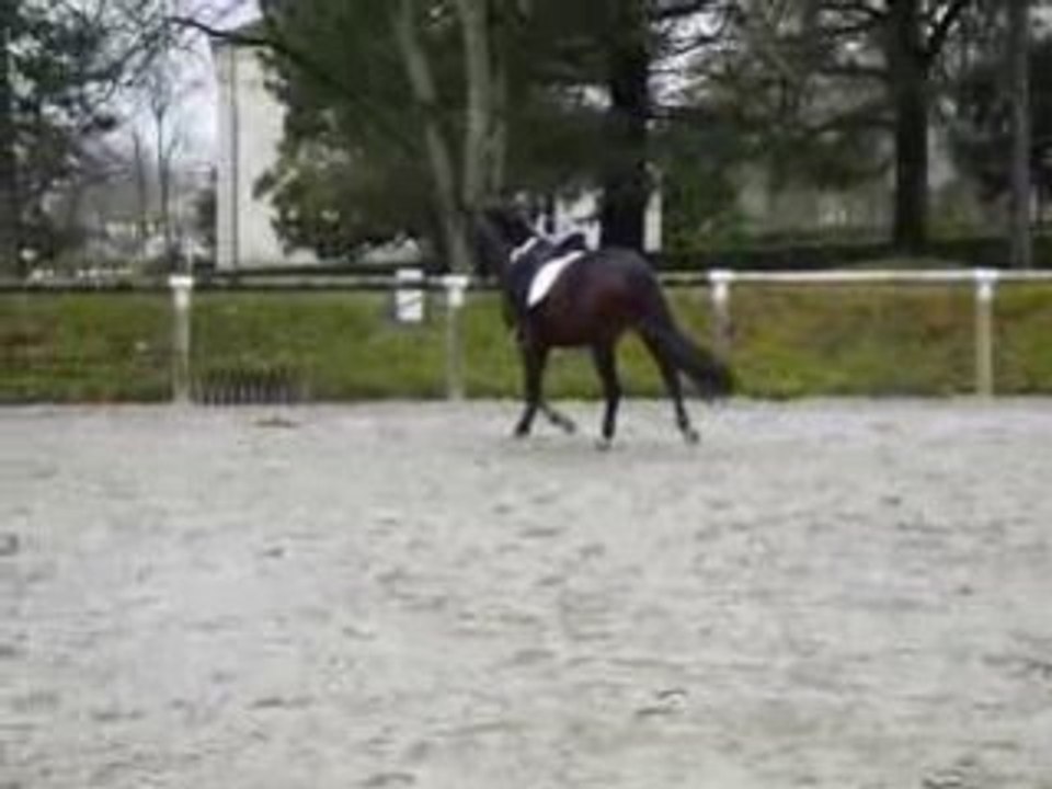 1er Essai Rap Février 2009 - Longe