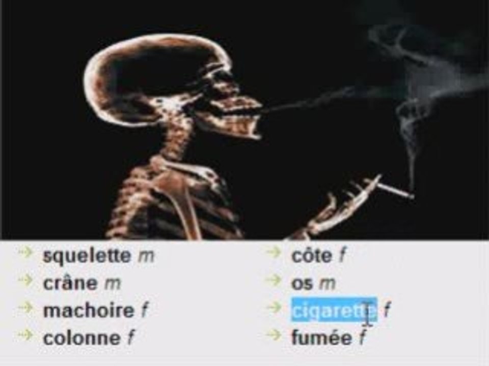 Learn French