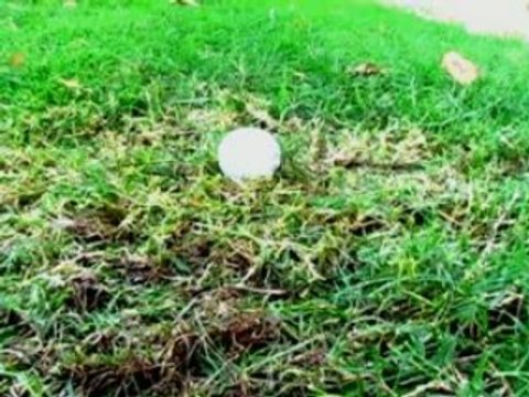 Funny Golf Videos Ellen Degeneres uses Big Daddy Driver