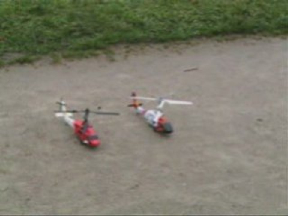 2 Hawks en vol outdoor