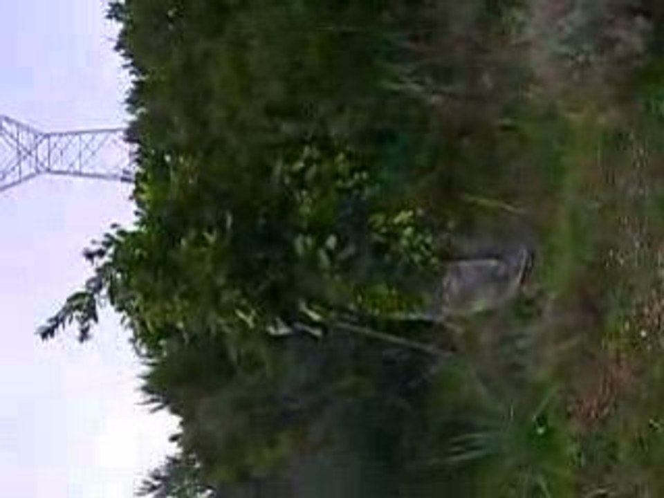 MOV00575