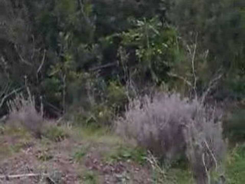 MOV00583