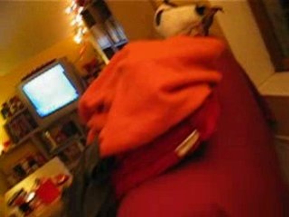 Daïa et l'aspirateur...