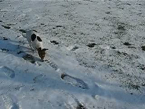Daïa et la neige aux Combes II