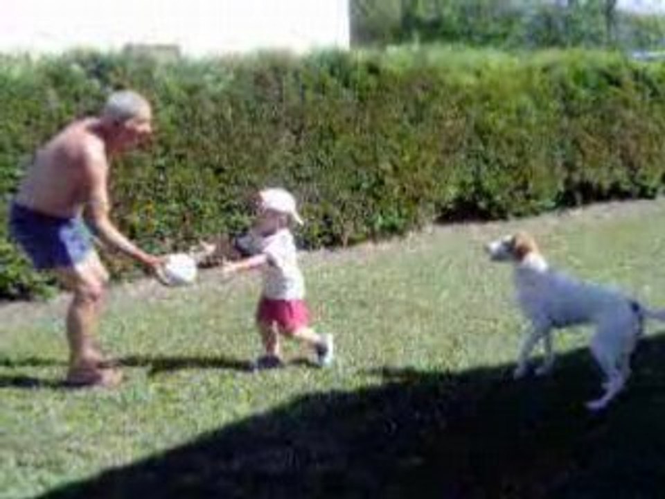 Loulou  joue avec saab