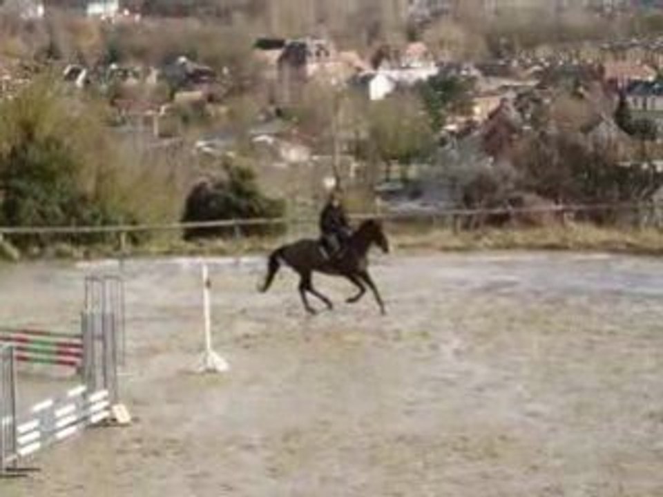 Notre cheval Mirabeau challenge janv 2009