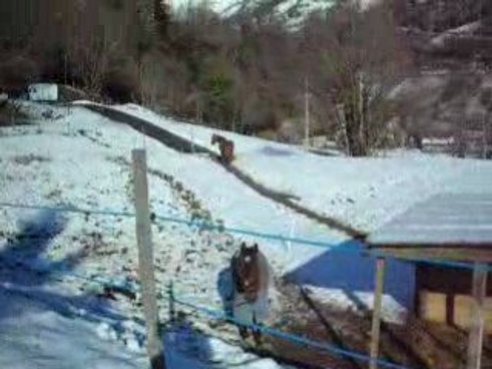 la neige est verglacée