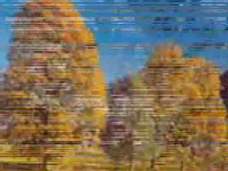 Devla bichal to duhos