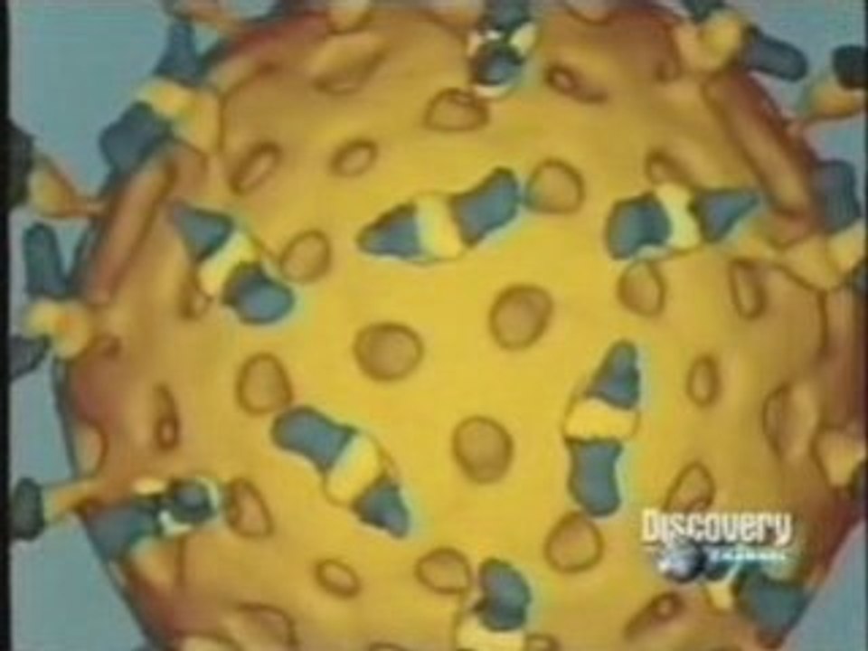 Virus