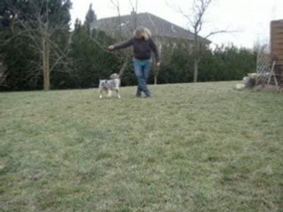 obérythmée clicker