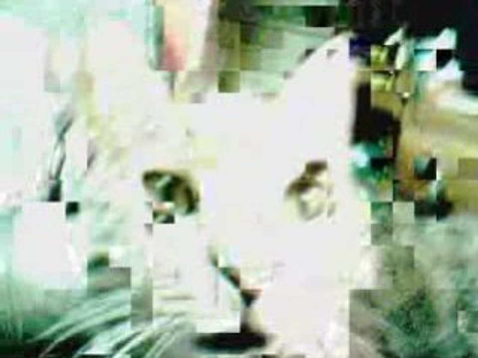 Goth-X-Vampire: un autre de mes chat