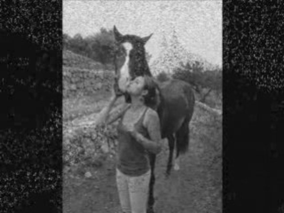 hommage a paseo