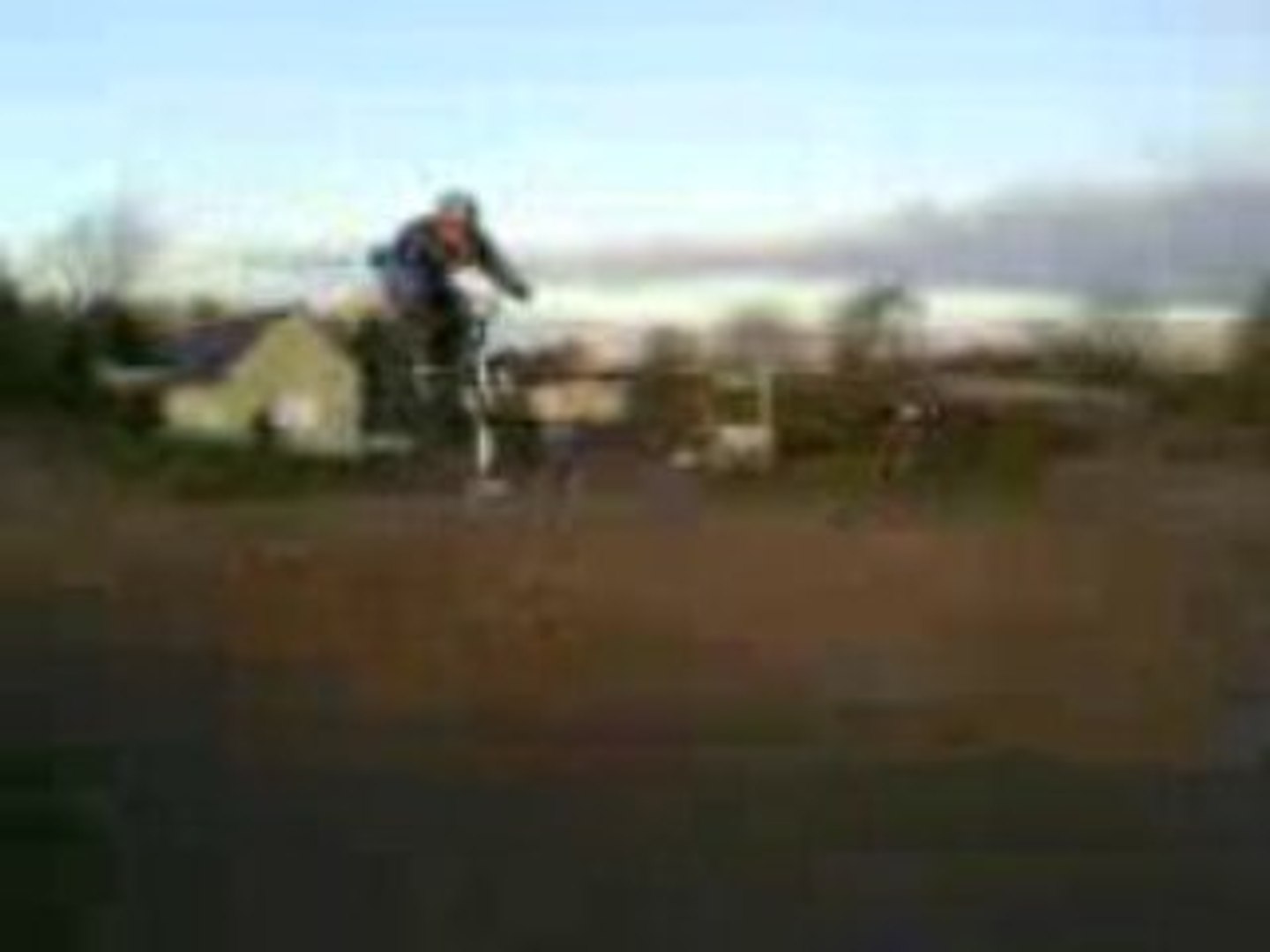 Race
