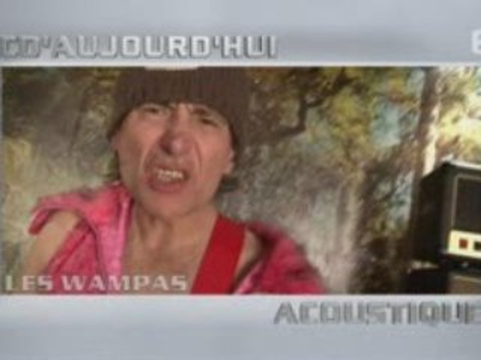 CD'aujourd'hui 19-01-2009 avec les Wampas