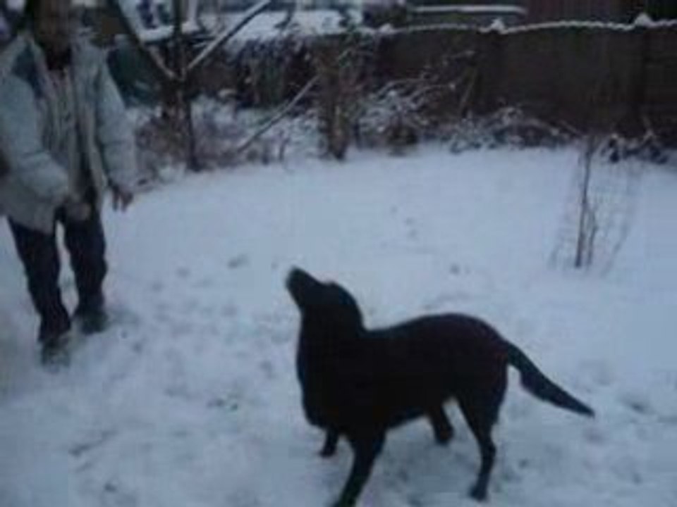 Vidéo kira et tania