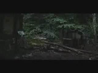 Eden Lake - Clip Bin