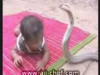 Enfant VS cobra serpent