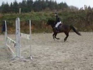 Ouragan enchainement chez Louis le 17 Janvier 2009