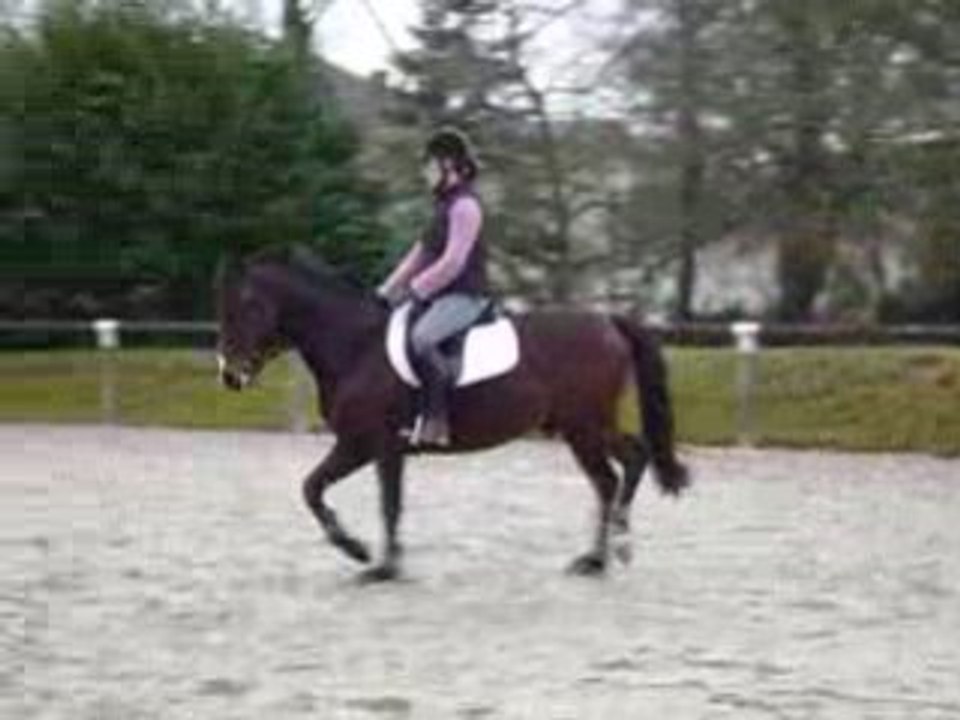 1er Essai Rap Février 2009