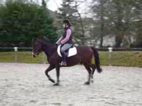 1er Essai Rap Février 2009