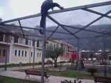 Parkour de pomares