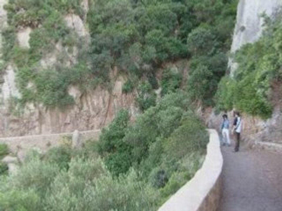 Ali amrane