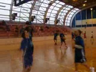 Dombasle basket