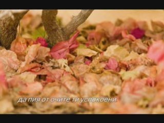 СРЕЩА,Дамян Дамянов