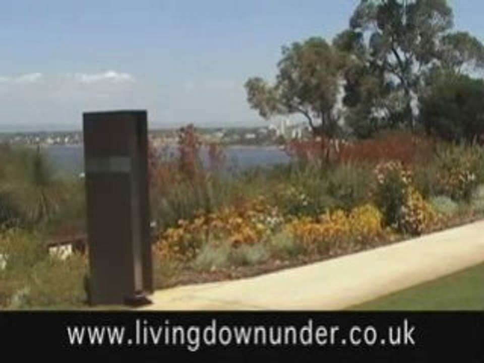 Live in the Gold Coast Immigration DVD
