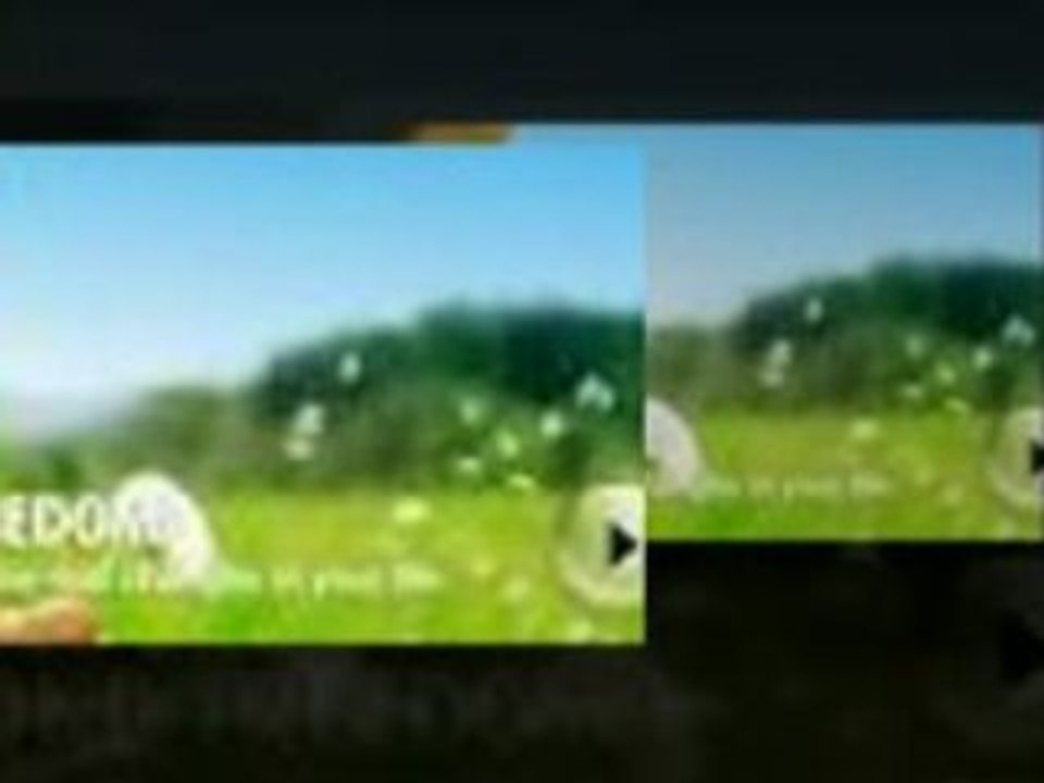 My Experience With Liberty League International - LLI Review