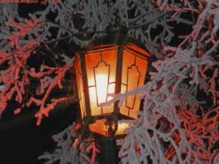 Bernadeta Kowalska & Andrzej Skaznik