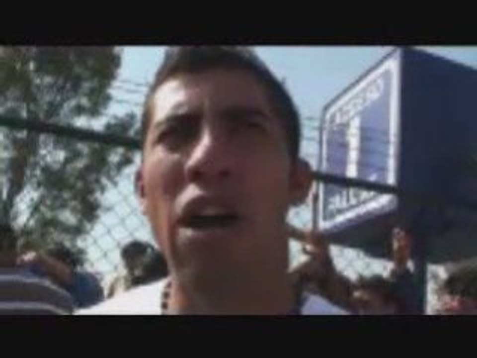 Amarren a sus gallos #1