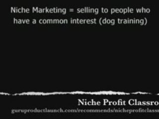 Niche Marketing Video