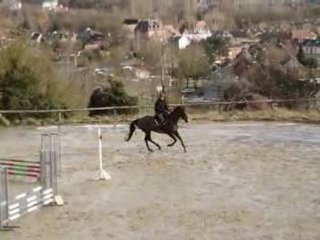 Notre cheval Mirabeau challenge janvier 2009